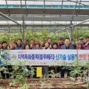 블루베리컨설팅