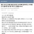 동덕여대 출신 직장인의 하소연 & 더쿠반응 이미지