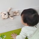 베베호이