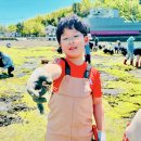 어기야디어차옥계마을협동조합 | 거제 갯벌체험 딴 데 갈 필요 없이 딱 여기만 가세요