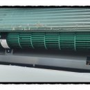 고래피시방 이미지