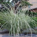 넘은들근린공원 이미지