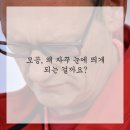 브이의원 이미지