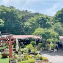 물레방아식당 | 석모도맛집 추천받고 다녀온 물레방아식당 솔직후기입니다