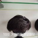 가모미모 이미지