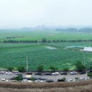 연성초등학교 입구 이미지