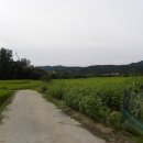 회현농장 이미지