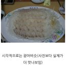 온고이지신 | 이를테면 온고이지신溫故而知新