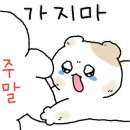 압구정오렌지 포차 술집