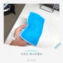 디로브