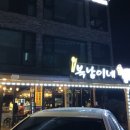 복남이네빵집 | 강릉 / 영진 해변 복남이네 술이랑 밥이랑