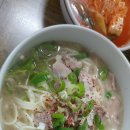 쉐돈