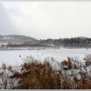 후암농장 Daum카페