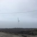 제주집 두모공 이미지