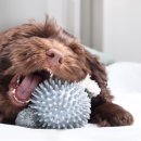 세탁보감 이미지