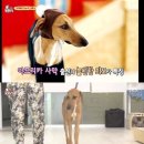 날씬한농장