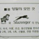 히포상사 이미지