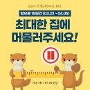 하나칼라