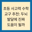 두뇌 팡팡 유아 수학 | 초등 사고력 수학 교구 추천: 두뇌 발달에 진짜 도움이 될까