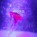 해운대해변로 | 부산 아쿠아리움 가격 씨라이프 해운대 아기랑 가볼만한곳