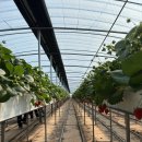 중한농장 이미지