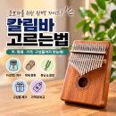 칼림바 고르는법! 초보자를 위한 칼림바 선택 가이드