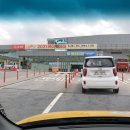 타요타요 펫택시 이미지