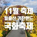 월출산기찬랜드펜션 | 광주 전남 11월 가을 꽃 축제 여행지 추천 월출산 기찬랜드 국화축제 주차 입장료 식당 후기
