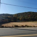 홍지마을회관 이미지