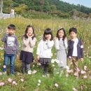 까르따스유치원 이미지