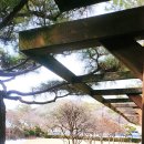 광땡노래연습장 이미지