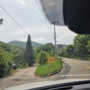 예이제448 | 대전 망고빙수 먹으러 한옥카페 예이제448[내돈내산 솔직후기]