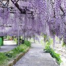 풀꽃민박 이미지