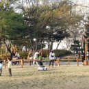 과천시 중앙공원 이미지