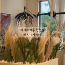 혜:룸 | 천천동 미용실 화사헤어룸 천천점 혜지디자이너 단발컷 후기