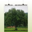 DMZ 오픈 페스티벌(DMZ전시) 이미지