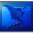 가오리PC 이미지