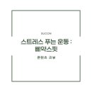 삐약스핏 이미지