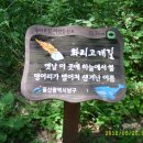 솔마루길 대공원산 이미지