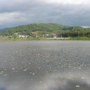 유등연지입구 이미지