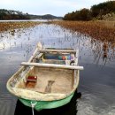 빛들마을 이미지