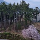 거제돔관광호텔 이미지