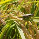 단구 경로당 이미지