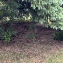 북교동교회앞(14004) | Canada (+1)