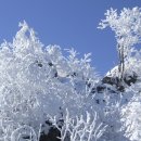 제13차 강원도 홍천 계방산 정기산행 이미지