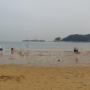 자연송림 이미지