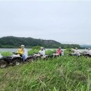 부여서울 이미지