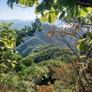 구재봉자연휴양림 이미지