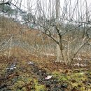 상가막농장 이미지