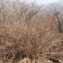 노고단-4 티스토리